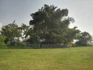 Lake Front Land on Sale in Entebbe Kawuku