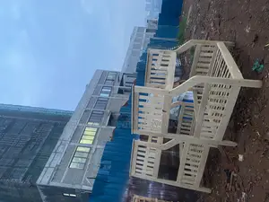 Double Decker Bed