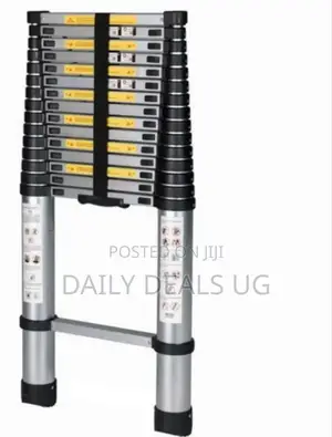 Metallic Adjustable Ladder