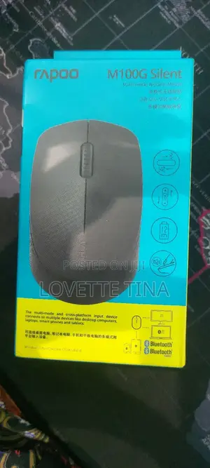 Wireless Mouse Rapoo M100G Silent