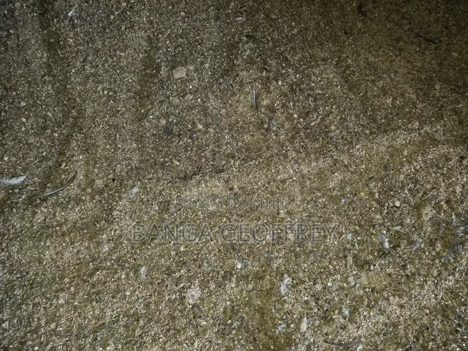 Local Chicken Manure
