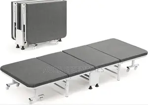 Full Sized Customized Office Sofa Bed