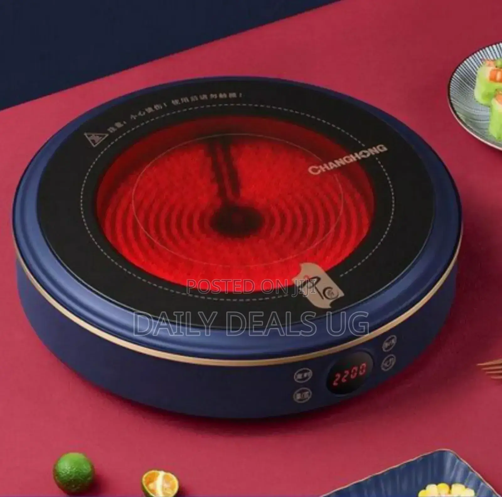 Electric Infrared Cooker