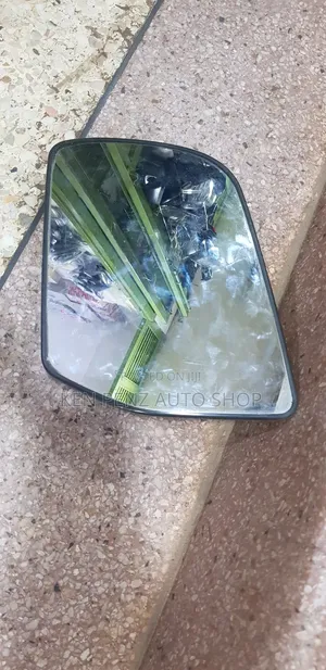 Ford Sidemirror Plate