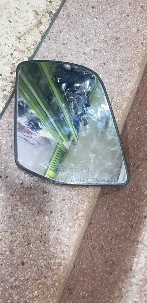 Ford Sidemirror Plate