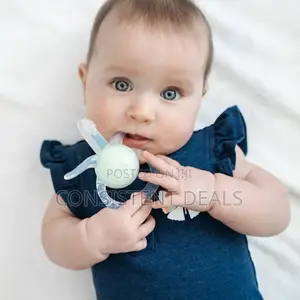 Baby Teething Toy