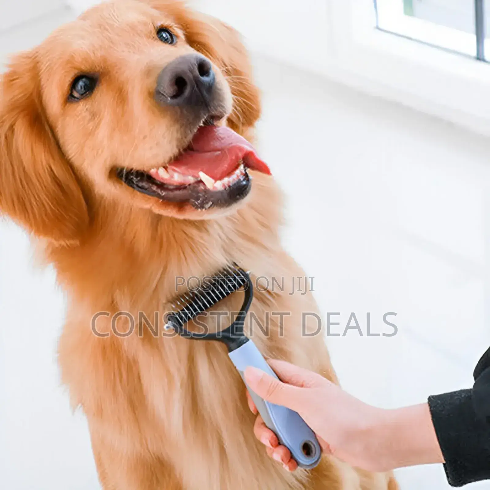 Pet Dematting Comb