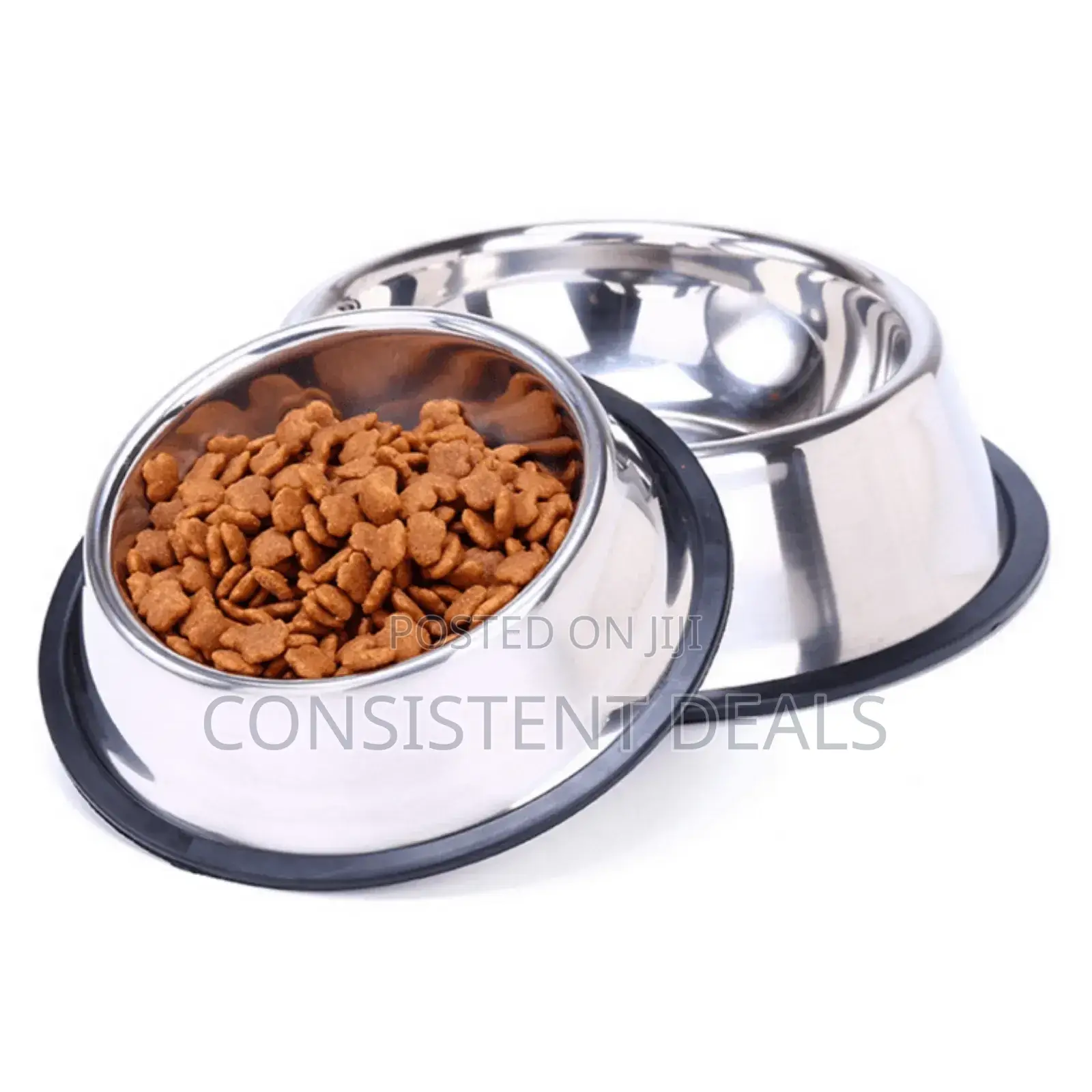 Dog Feeding Bowl