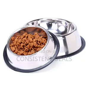 Dog Feeding Bowl
