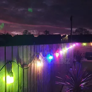 LED Lighting String Light-RGB Bulb