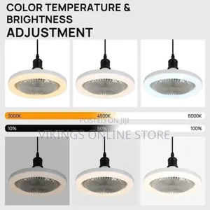 3 in 1 Led Ceiling Fan Lamp