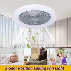 3 in 1 Led Ceiling Fan Lamp