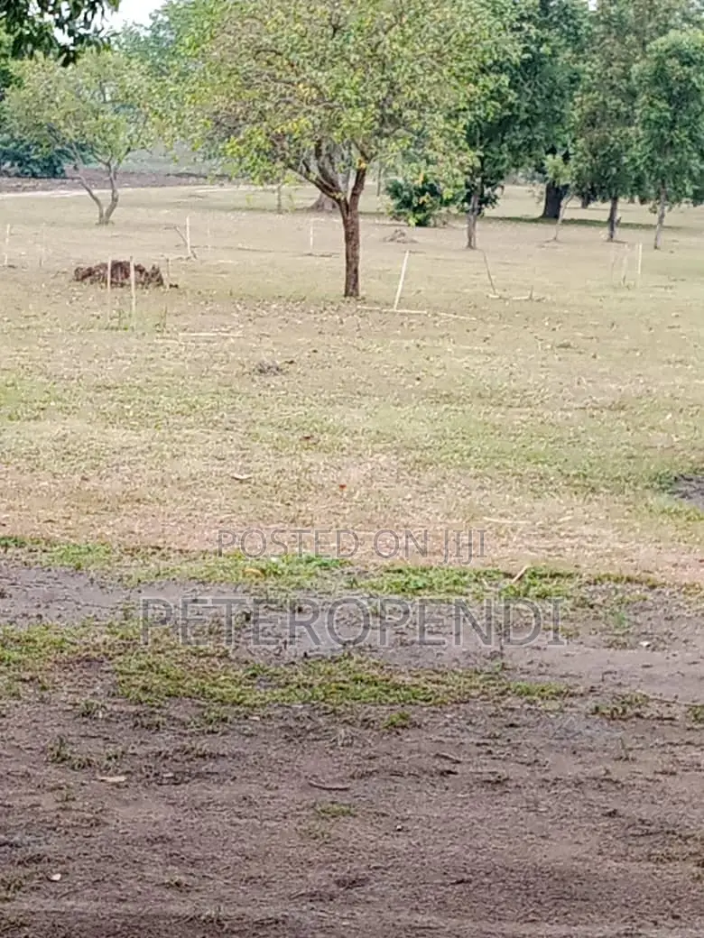 30 Decimals Wall Fenced Plot in Kirinya