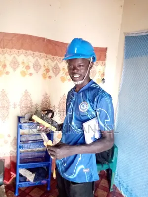 Domestic Electrician