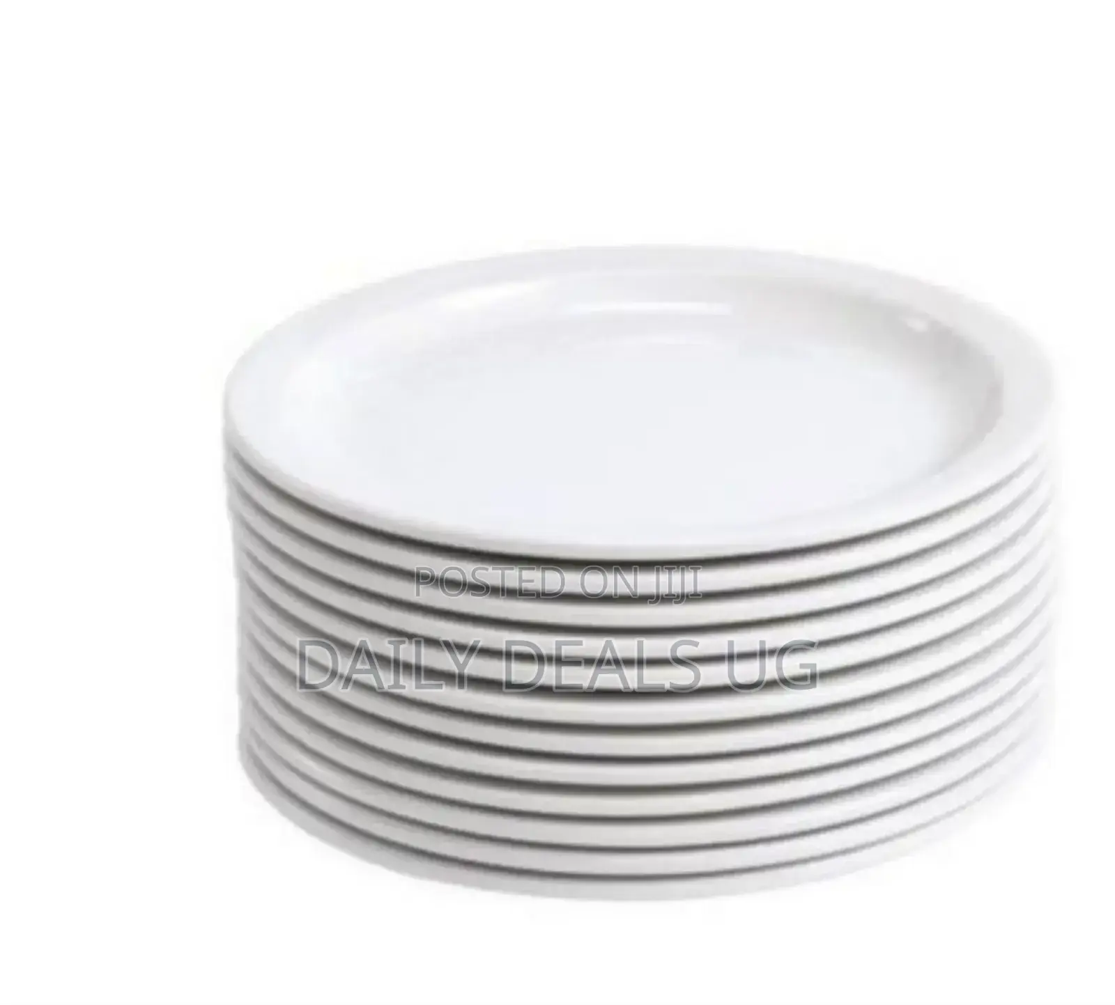Dinner Plates