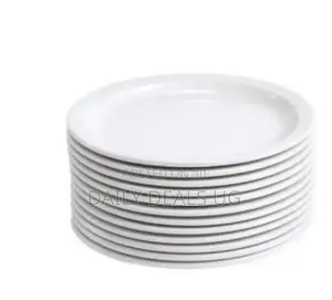 Dinner Plates