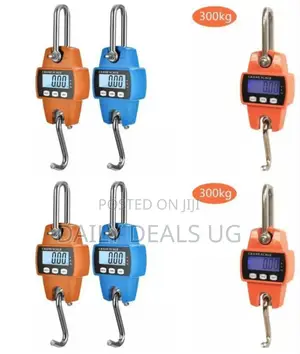 Electric Portable Weighing Scale