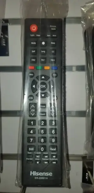 Hisense Digital TV Remote