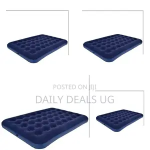 Intex Blue Air Mattress