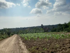 Nabusugwe 14decimals on Quick Sell