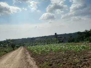 Nabusugwe 14decimals on Quick Sell