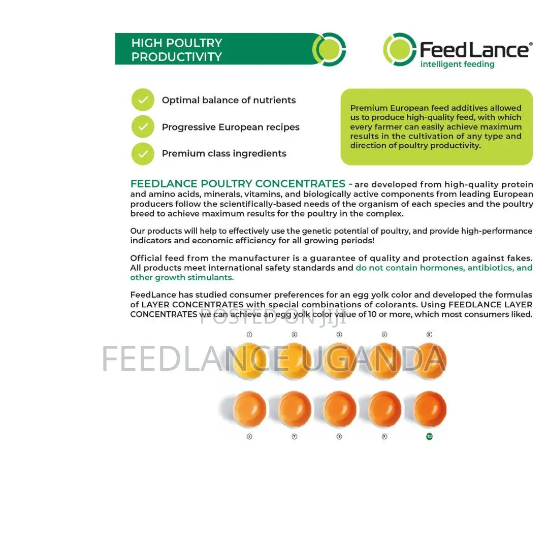 FEEDLANCE LAYER CONCENTRATE 10% - Protein-vitamin-mineral