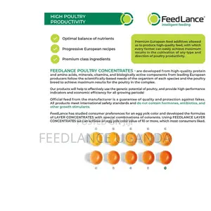FEEDLANCE LAYER CONCENTRATE 10% - Protein-vitamin-mineral