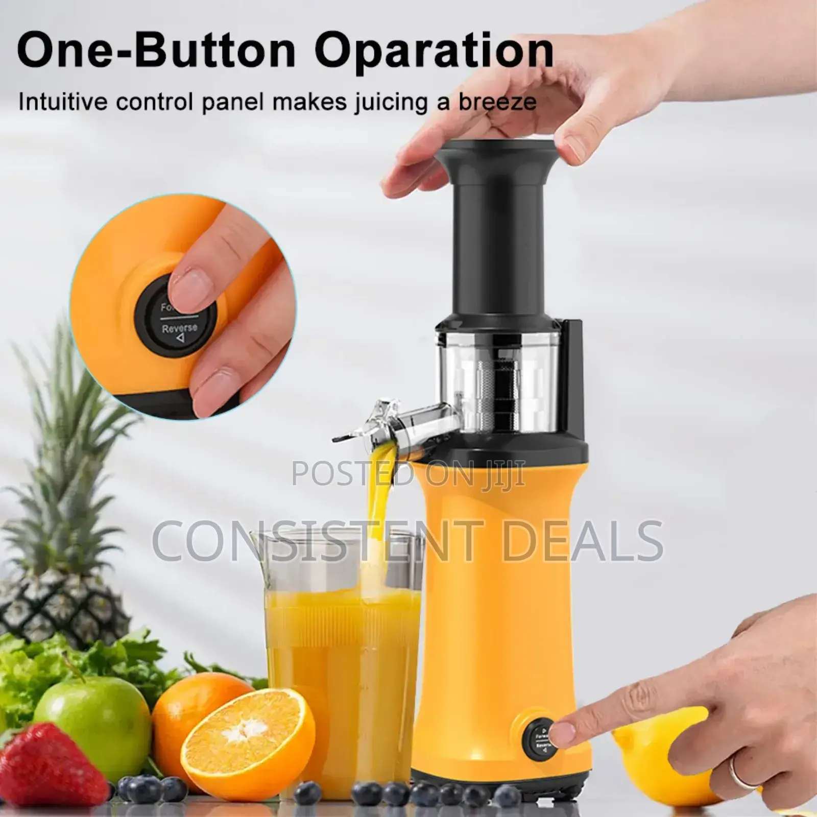 Portable Slow Juicer Machine