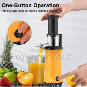 Portable Slow Juicer Machine