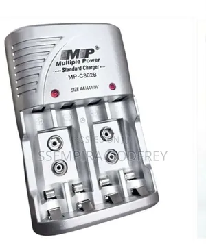 Multiple Standard Power Charger
