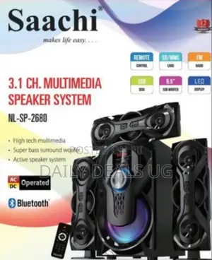 Saachi Speaker System