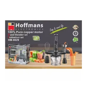 Hoffmans 5 in 1 Stainless Small Immersion Hand Blender Set