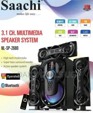 Electric Speaker System