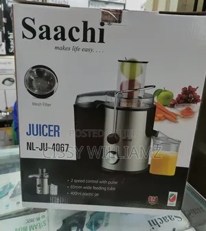 2 Speed Electric Juice Extractor Juicer - Silver