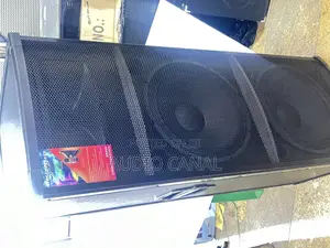 15” Double Full Range Speaker