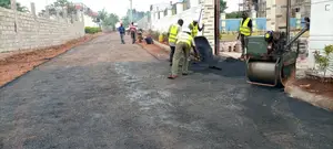 Asphalt Access Road Construction for Apartments