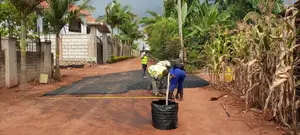 Access Road Asphalting for Rich Estates
