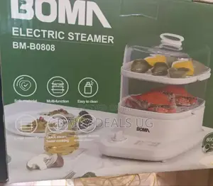Electric BOMA Steamer