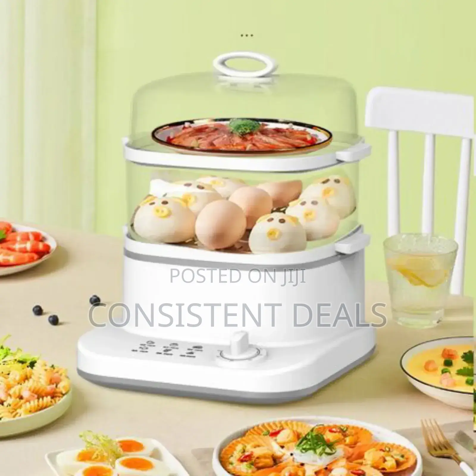 Boma Electric Steamer