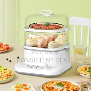 Boma Electric Steamer
