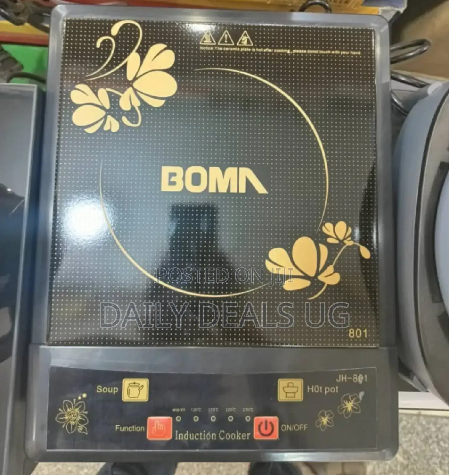 Electric BOMA Stove