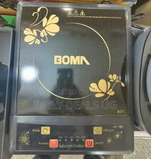 Electric BOMA Stove