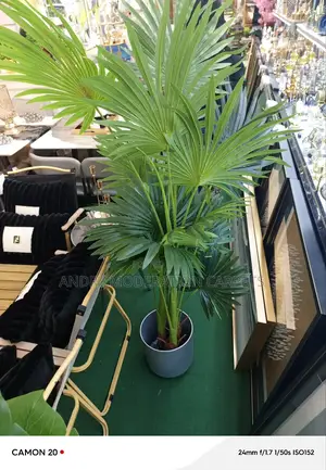 Artificial Plant 