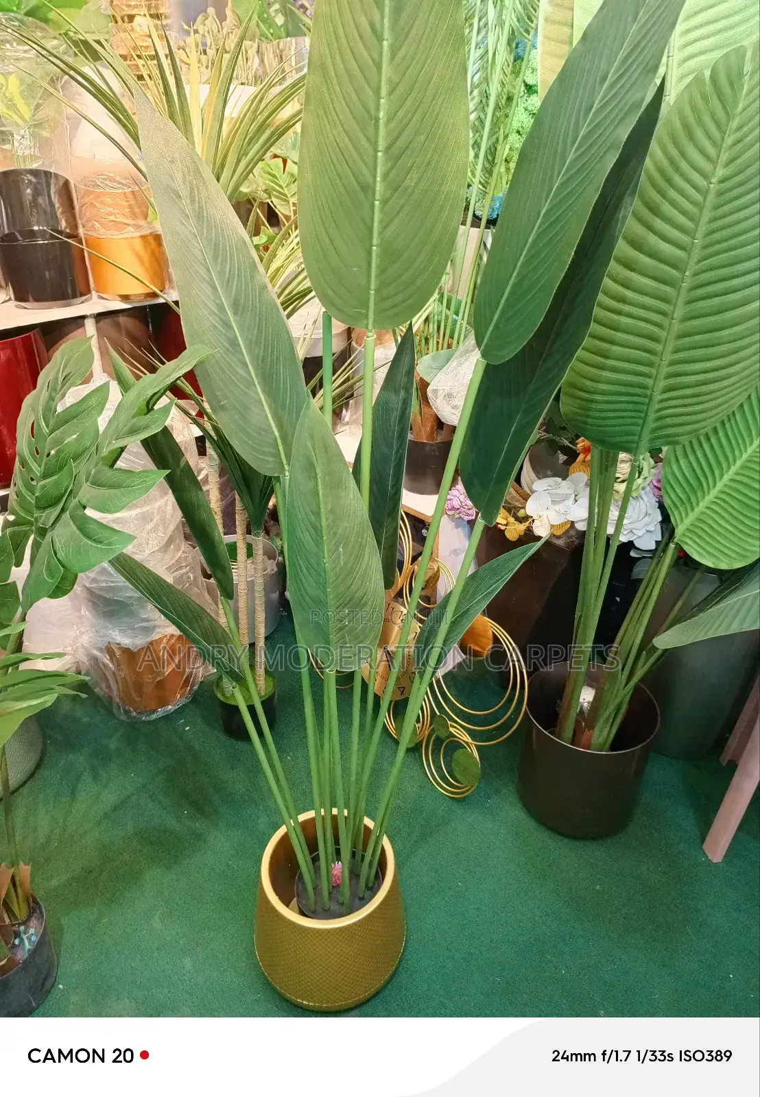 Artificial Plant 