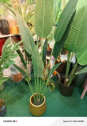 Artificial Plant 