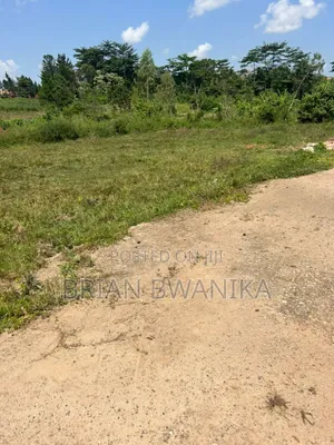 50*100 Plots of Land in Gobero (Land Tittle) at 13.5m