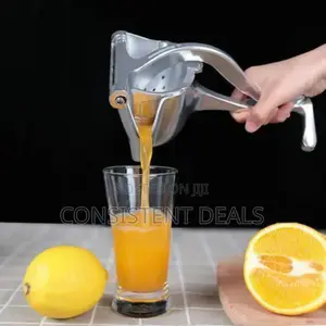 Manual Fruit Press Juicer