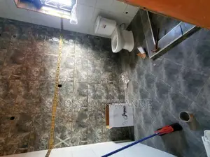 Profesional Plumbing