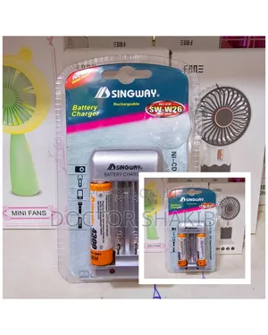 SW-W26 Special Singway Battery Charger