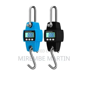300kg Industrial Electric Hanging Scale.